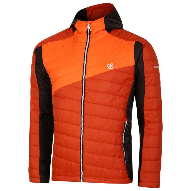Dare2b Heren touring gewatteerd jack UTRG10287_rooibosteapuffinsorange large Dare2b Heren touring gewatteerd jack UTRG10287_rooibosteapuffinsorange large