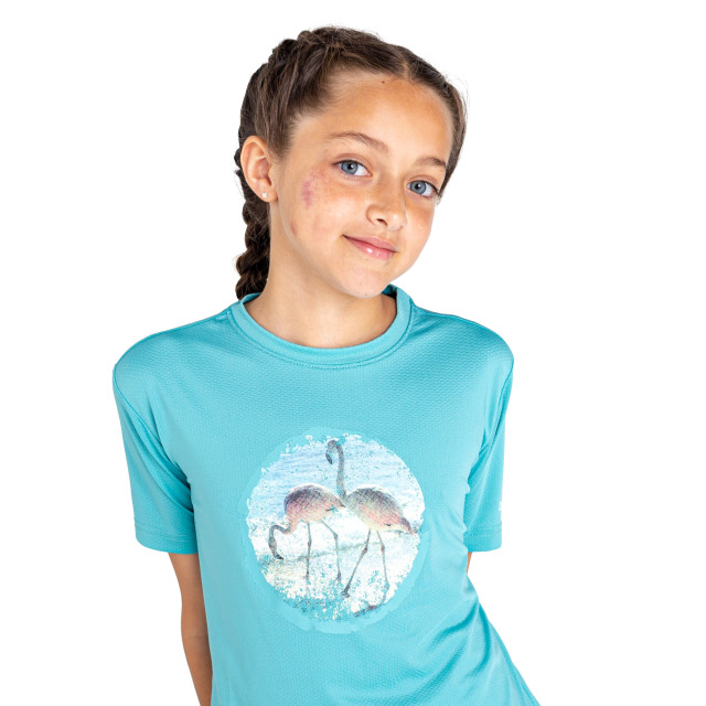 Dare2b Kinderen/kinderen rechtmatig flamingo gerecycled t-shirt UTRG10187_meadowbrookgreen large