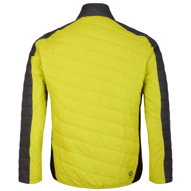 Dare2b Heren gewatteerd afdalingsjack UTRG10290_neonspringblack large Dare2b Heren gewatteerd afdalingsjack UTRG10290_neonspringblack large