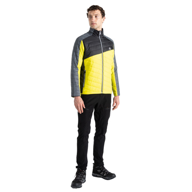 Dare2b Heren gewatteerd afdalingsjack UTRG10290_neonspringblack large Dare2b Heren gewatteerd afdalingsjack UTRG10290_neonspringblack large