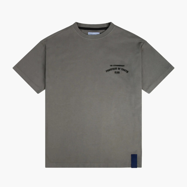 Fountain of Youth Medici t-shirt cite art 151469274 large