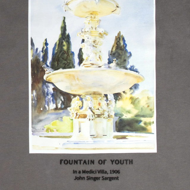 Fountain of Youth Medici t-shirt cite art 151469274 large