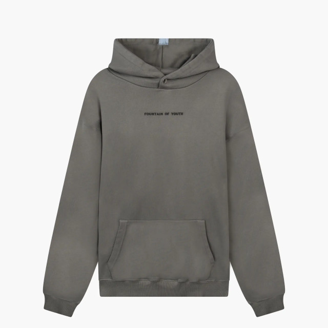 Fountain of Youth Essential hoodie jesse cite 151467387 large
