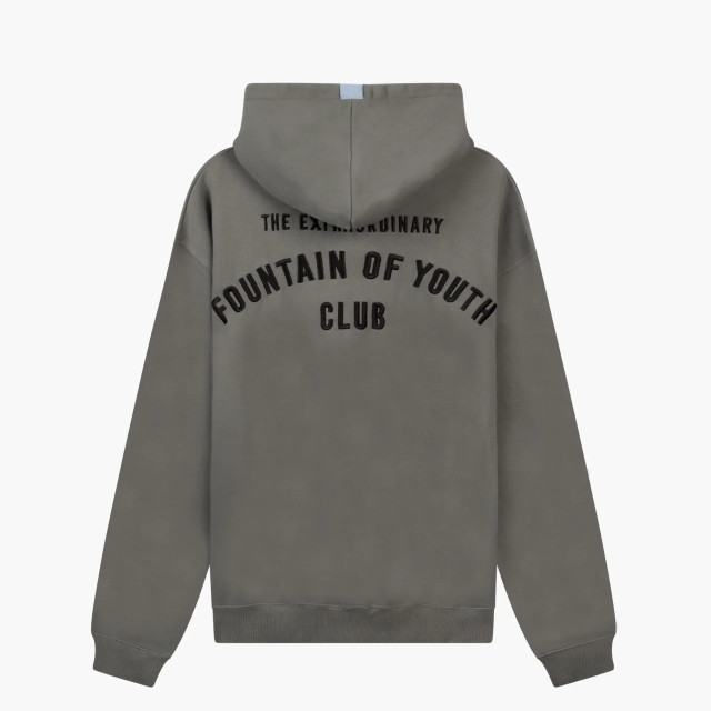 Fountain of Youth Essential hoodie jesse cite 151467387 large