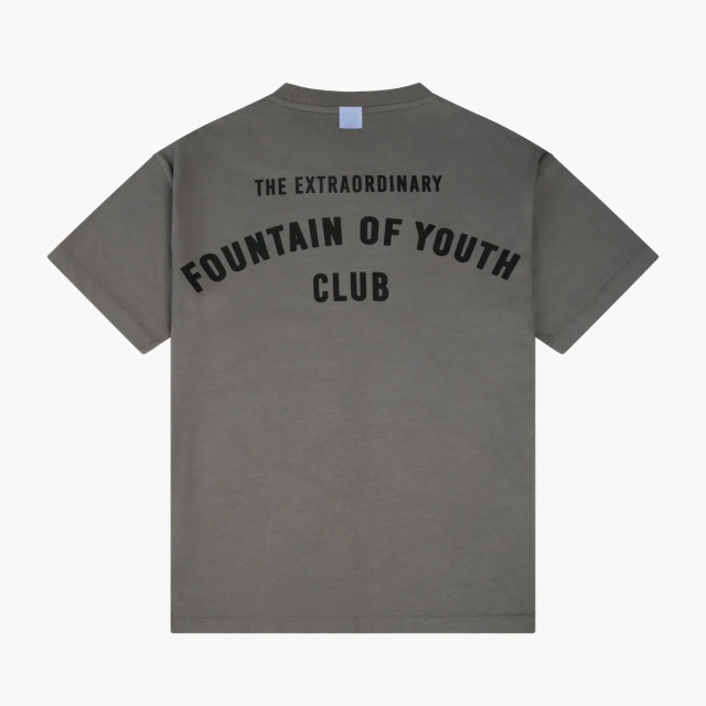 Fountain of Youth Essential t-shirt wesley cite 151469131 large