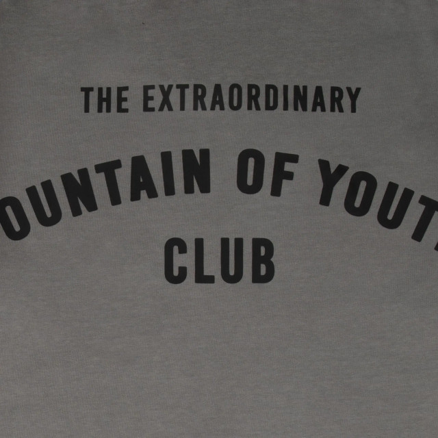 Fountain of Youth Essential t-shirt wesley cite 151469131 large