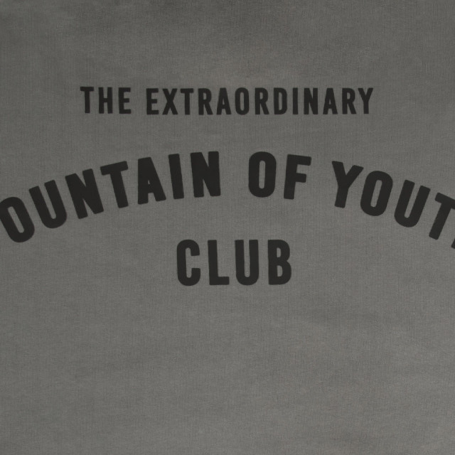 Fountain of Youth Essential hoodie jesse cite 151467387 large