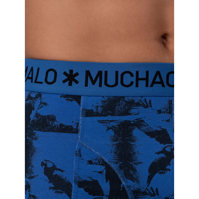 Muchachomalo Heren 3-pack boxershorts print/effen U-PAPAGAYO1010-01 large