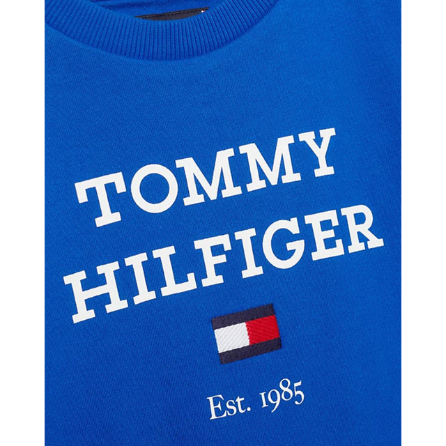 Tommy Hilfiger Sweater sweater-00052913-blue large