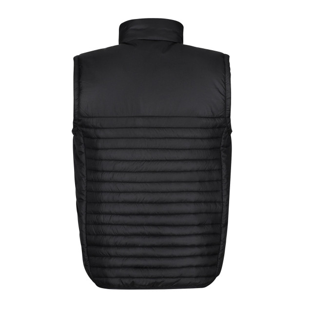Regatta Eerlijk gemaakte geïsoleerde gerecyclede bodywarmer voor heren UTRG10380_black large