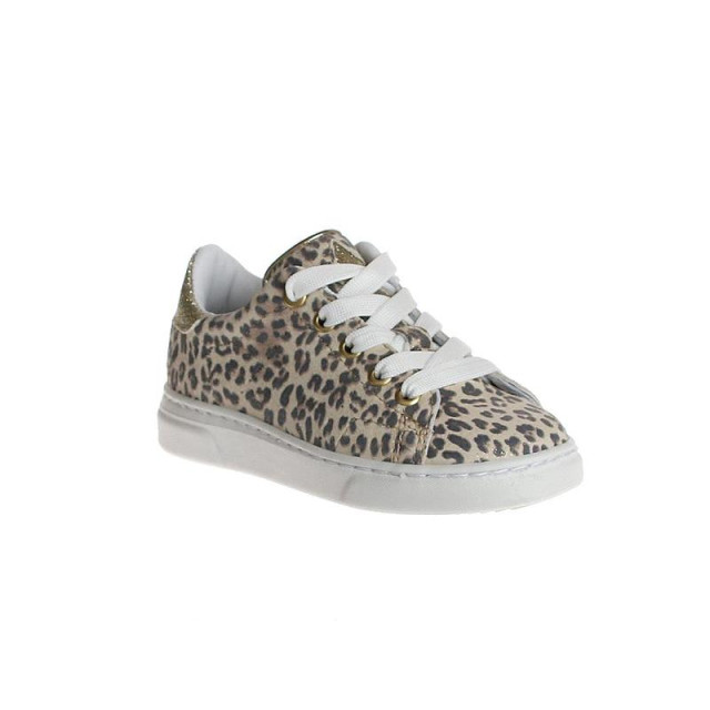HIP H1279 H1279 large
