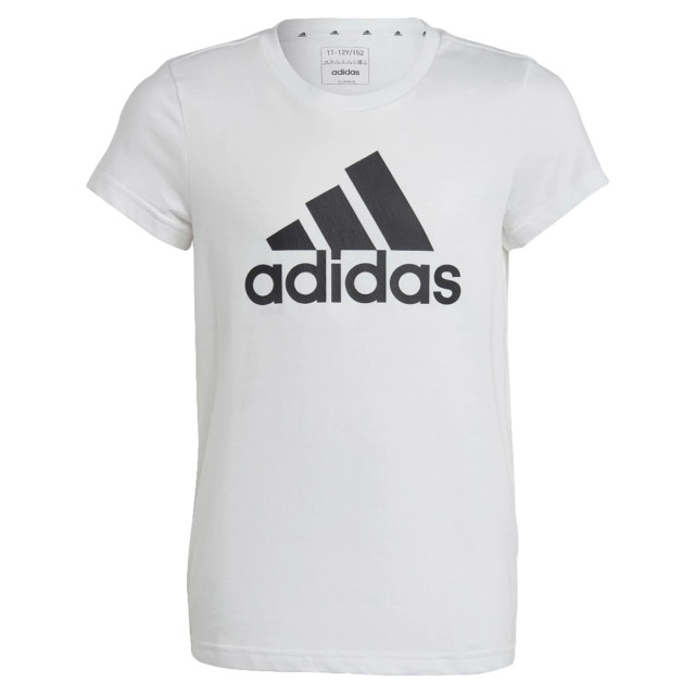 Adidas Essentials big logo t-shirt 130017 large