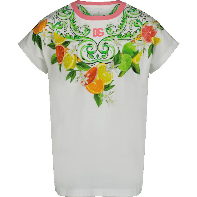 Dolce and Gabbana Kinder t-shirt <p>L5JTMWG7M6DHV5ANSS24</p><p>katoenen large