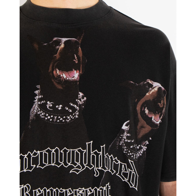 Represent Heren thoroughbred t-shirt MLM499-3 large