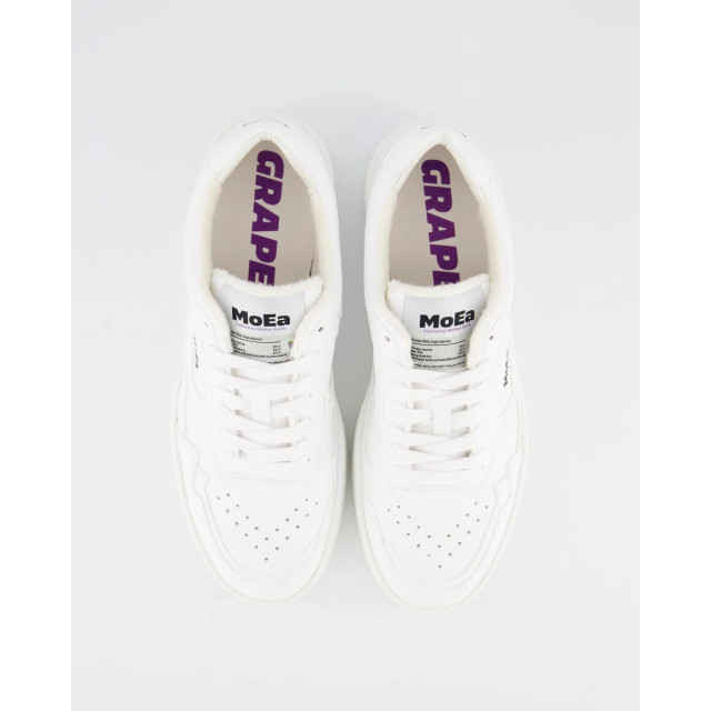 MoEa Dames gen1 grapes full sneaker BASGN1-04-04 large