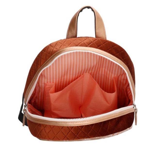 Zebra 18981  18981  large