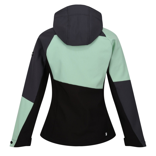 Regatta Dames desoto ix soft shell jas UTRG9370_quietgreensealgrey large