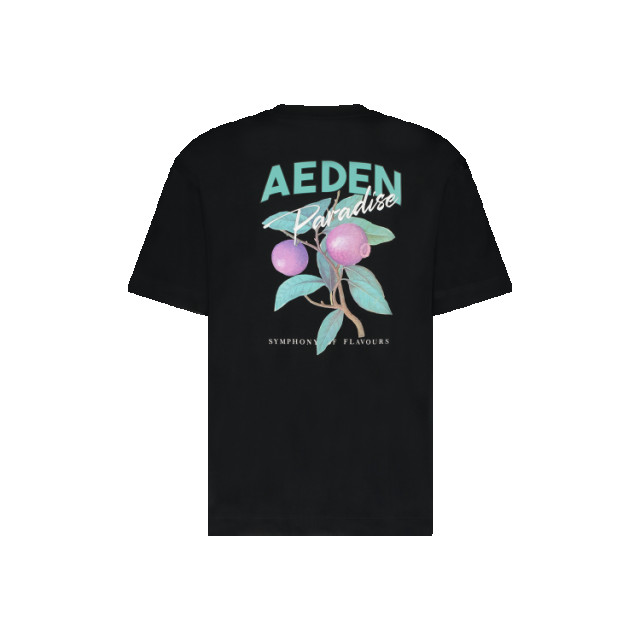 Aeden Jacques tee 151865702 large