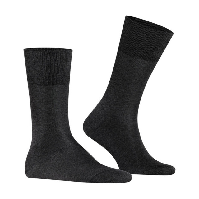 Falke Sokken 14792 Falke Sokken 14792 large Falke Sokken 14792 Falke Sokken 14792 large