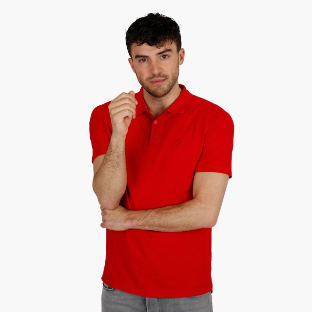 Q1905 Polo shirt willemsdorp - QM2343935-408-1 large