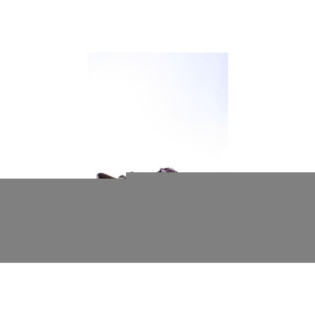 Floris van Bommel -30173 Geklede schoenen Cognac -30173 large