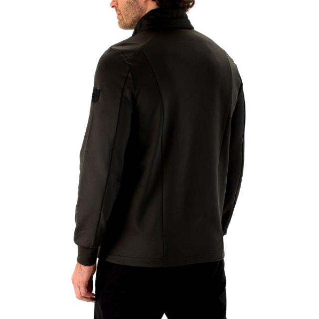 Falcon hardy - 066489_390-M large