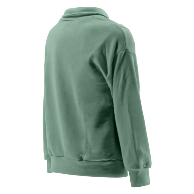 Legend Sports Chicomfort luxe dames jogging hoodie/dames chicomfort luxe jogging hoodie T6010171sweaterLadiesLightgreenM large