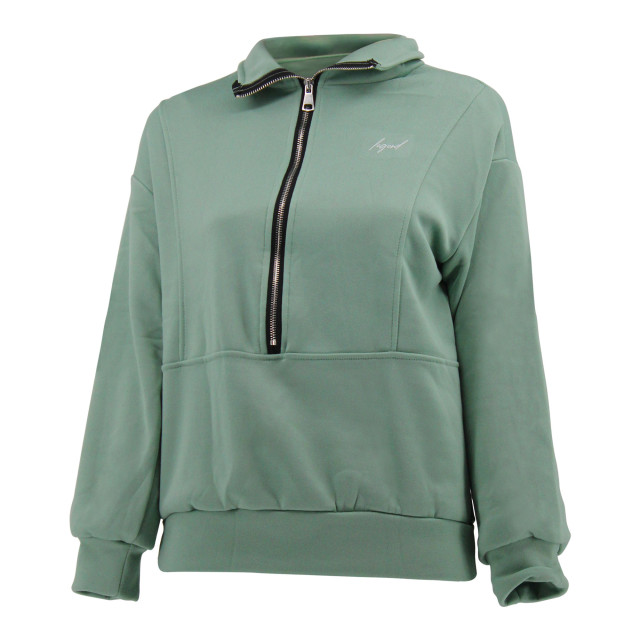 Legend Sports Chicomfort luxe dames jogging hoodie/dames chicomfort luxe jogging hoodie T6010171sweaterLadiesLightgreenM large