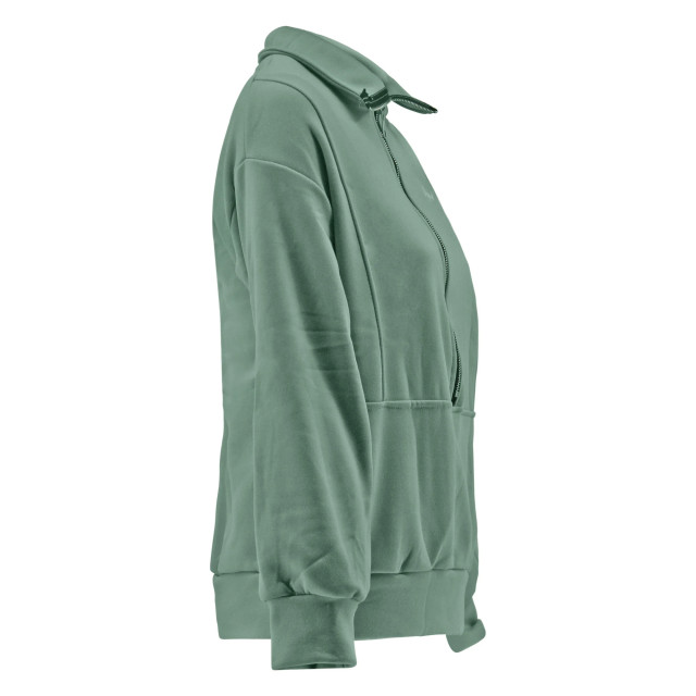 Legend Sports Chicomfort luxe dames jogging hoodie/dames chicomfort luxe jogging hoodie T6010171sweaterLadiesLightgreenM large