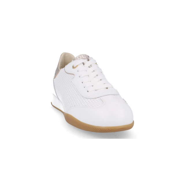DL Sport 6256 sneakers 6256 large DL Sport 6256 sneakers 6256 large