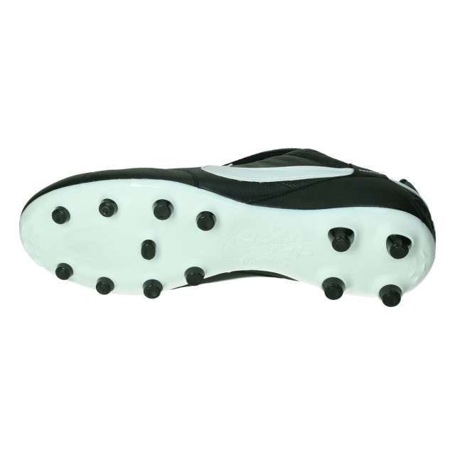 Nike The premier iii fg 131366 large