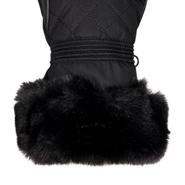 Trespass Dames dirin leren skihandschoenen UTTP6140_black large