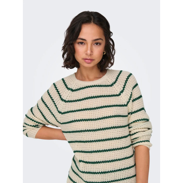 Jacqueline de Yong Ellen l/s oneck raglan pullover knt 15312077 large Jacqueline de Yong Ellen l/s oneck raglan pullover knt 15312077 large