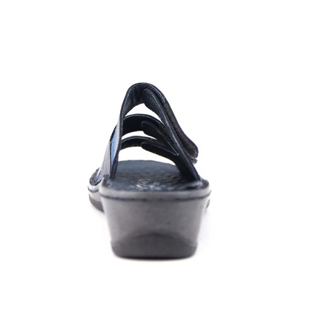 Stuppy 1839 1839 large
