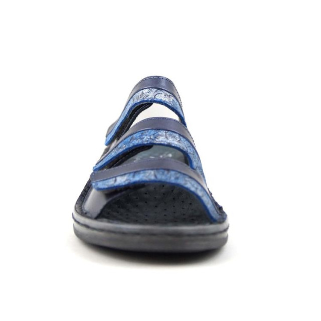 Stuppy 1839 1839 large