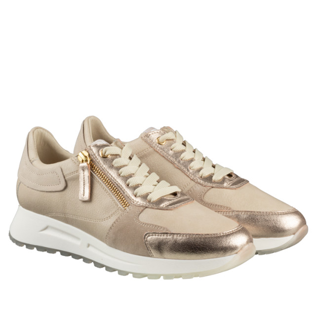 DL Sport 6202 6202 large DL Sport 6202 6202 large