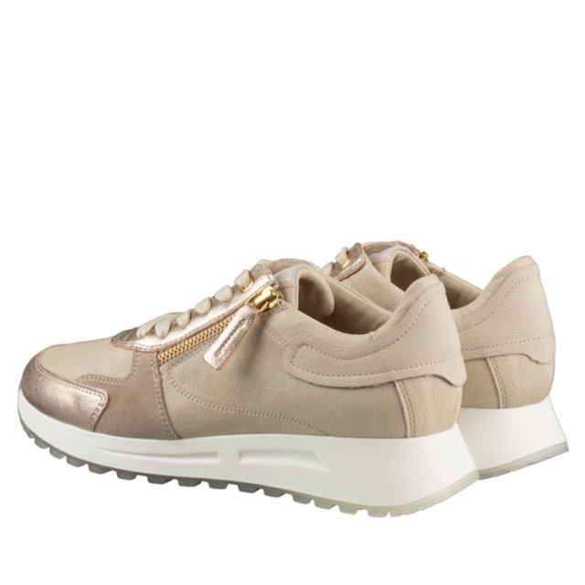 DL Sport 6202 6202 large DL Sport 6202 6202 large