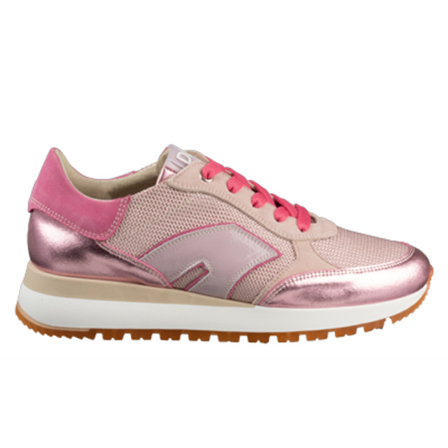 DL Sport 6225 6225 large DL Sport 6225 6225 large