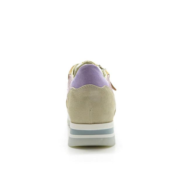 DL Sport 6221 6221 large