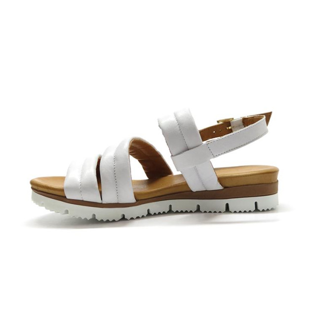 Aqa A8366 A8366 large Aqa A8366 A8366 large
