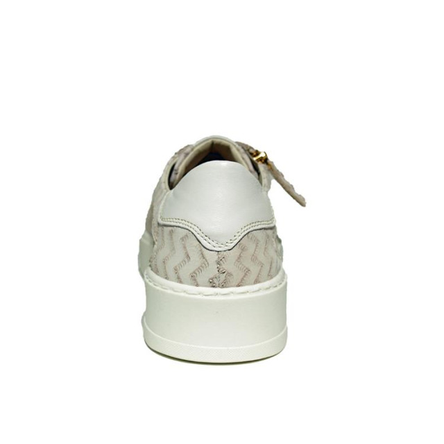 DL Sport 5604 5604 large DL Sport 5604 5604 large