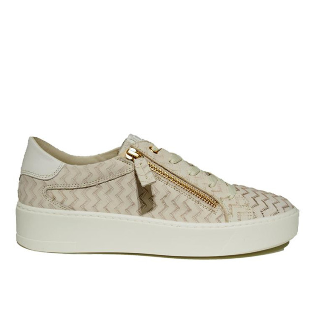 DL Sport 5604 5604 large DL Sport 5604 5604 large