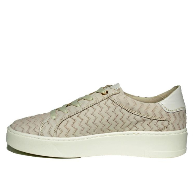 DL Sport 5604 5604 large DL Sport 5604 5604 large