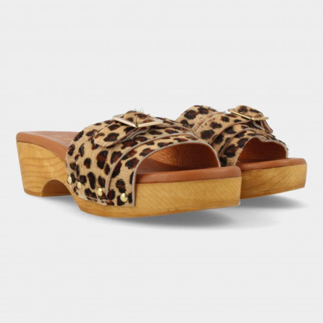 Red Rag 79606 Slippers Bruin 79606 large