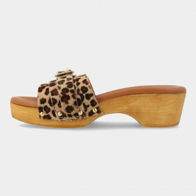 Red Rag 79606 Slippers Bruin 79606 large