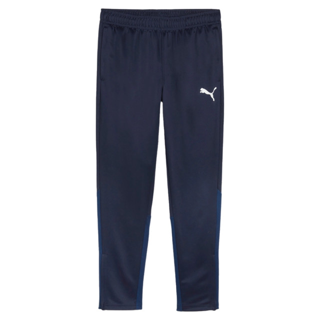Puma Teamgoal training pant 131318 large