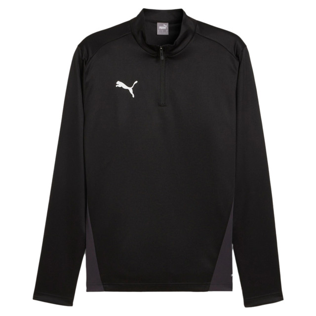 Puma Teamgoal training 1/4 zip 131315 large