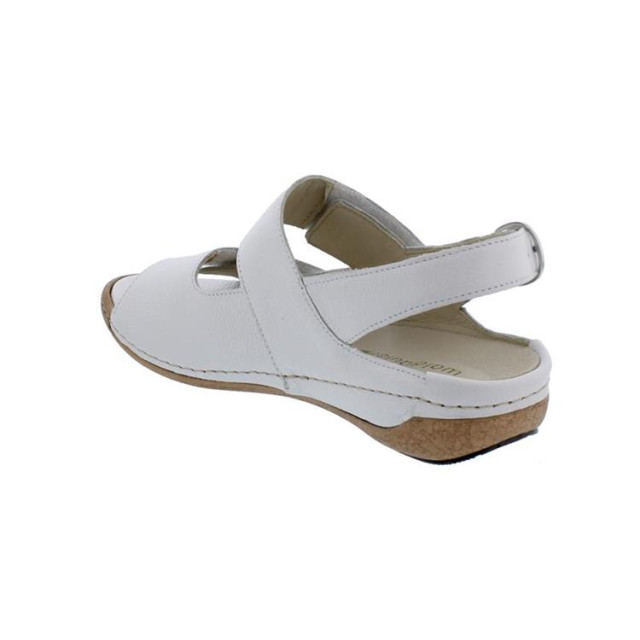 Waldläufer 342022 342022 Porto large