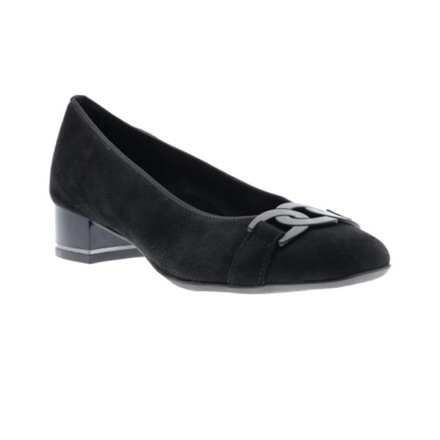 Ara 12-11806 12-11806 GRAZ large