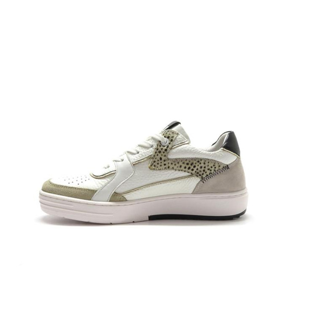 Maruti 66.1749.01 66.1749.01 large